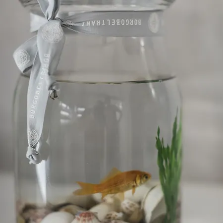 Bed & Breakfast Borgobeltrani Trani