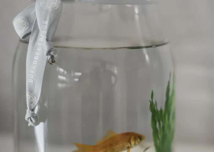 לינה וארוחת בוקר Borgobeltrani טרני